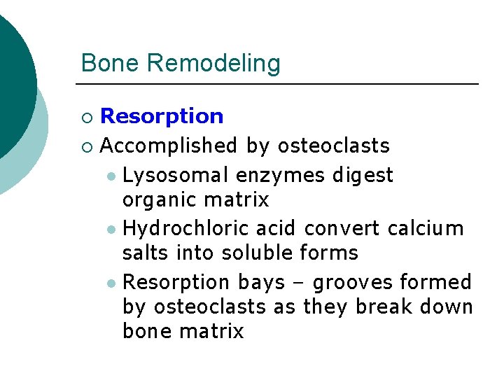 Bone Remodeling Resorption ¡ Accomplished by osteoclasts l Lysosomal enzymes digest organic matrix l