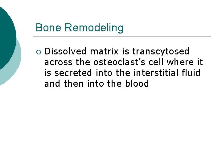 Bone Remodeling ¡ Dissolved matrix is transcytosed across the osteoclast’s cell where it is