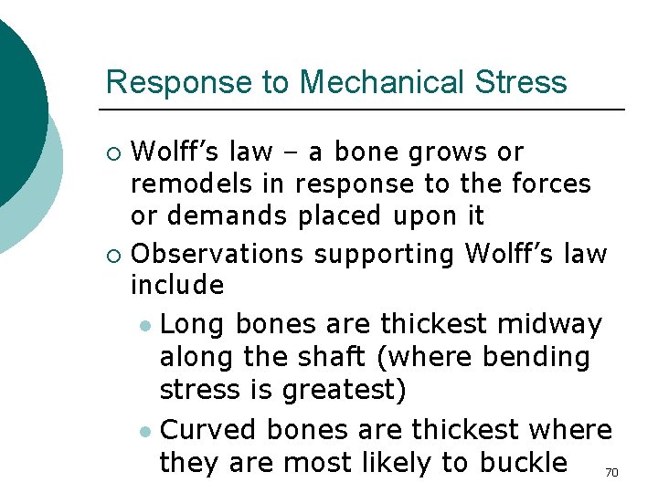 Response to Mechanical Stress Wolff’s law – a bone grows or remodels in response