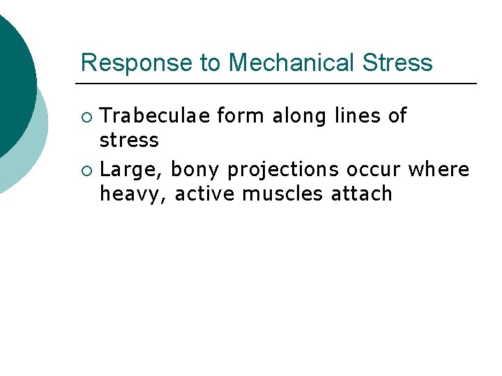 Response to Mechanical Stress Trabeculae form along lines of stress ¡ Large, bony projections