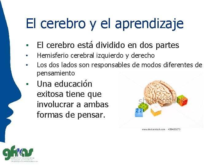 El cerebro y el aprendizaje ▪ El cerebro está dividido en dos partes •