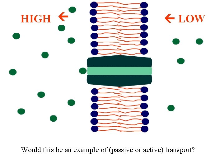 HIGH LOW Would this be an example of (passive or active) transport? 