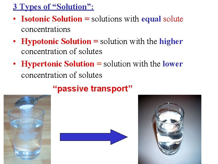 3 Types of “Solution”: • Isotonic Solution = solutions with equal solute concentrations •