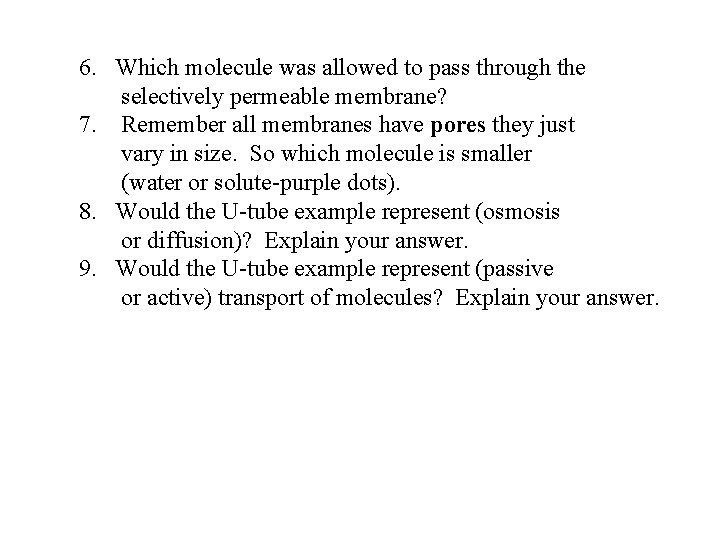 6. Which molecule was allowed to pass through the selectively permeable membrane? 7. Remember