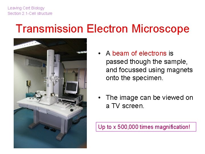 Leaving Cert Biology Section 2. 1 -Cell structure Transmission Electron Microscope • A beam