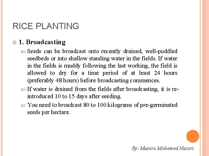 RICE PLANTING 1. Broadcasting Seeds can be broadcast onto recently drained, well-puddled seedbeds or
