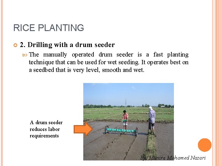 RICE PLANTING 2. Drilling with a drum seeder The manually operated drum seeder is