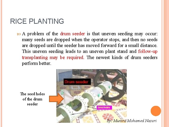 RICE PLANTING A problem of the drum seeder is that uneven seeding may occur: