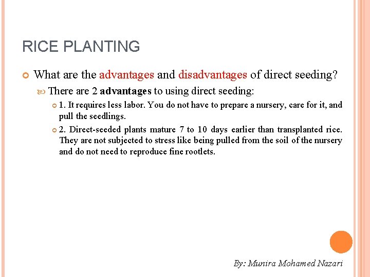 RICE PLANTING What are the advantages and disadvantages of direct seeding? There are 2