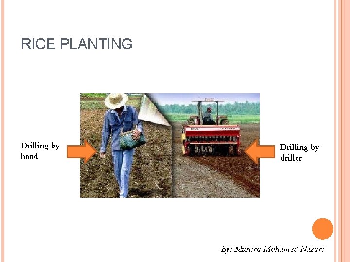 RICE PLANTING Drilling by hand Drilling by driller By: Munira Mohamed Nazari 