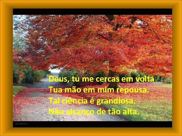 Deus, tu me cercas em volta Tua mão em mim repousa. Tal ciência é