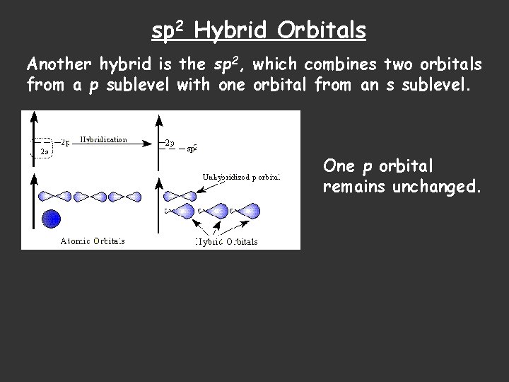 sp 2 Hybrid Orbitals Another hybrid is the sp 2, which combines two orbitals
