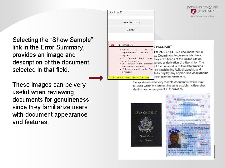 Selecting the “Show Sample” link in the Error Summary, provides an image and description