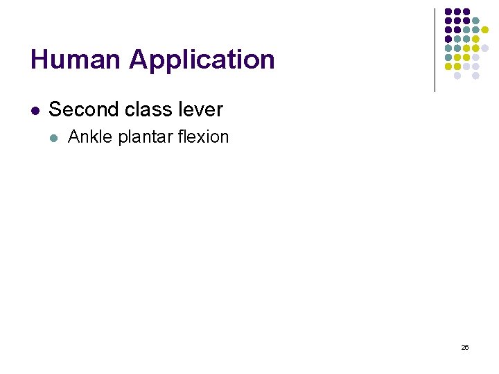 Human Application l Second class lever l Ankle plantar flexion 26 