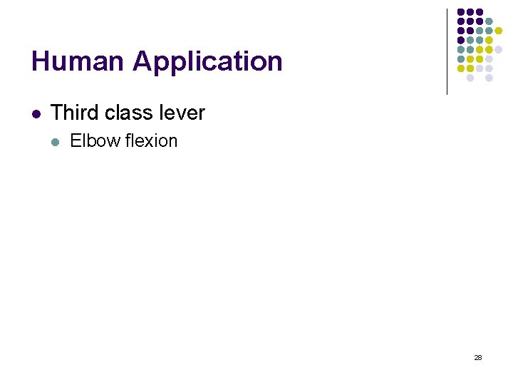 Human Application l Third class lever l Elbow flexion 28 