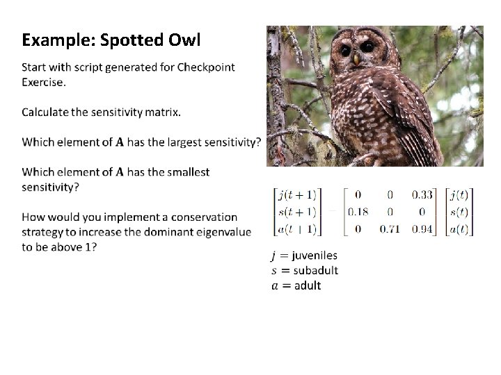 Example: Spotted Owl 