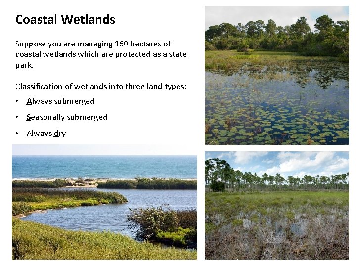 Coastal Wetlands Suppose you are managing 160 hectares of coastal wetlands which are protected