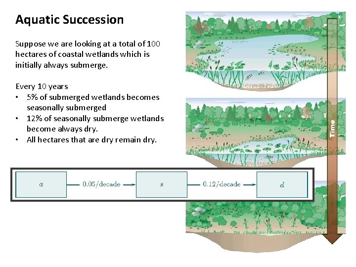 Aquatic Succession Suppose we are looking at a total of 100 hectares of coastal