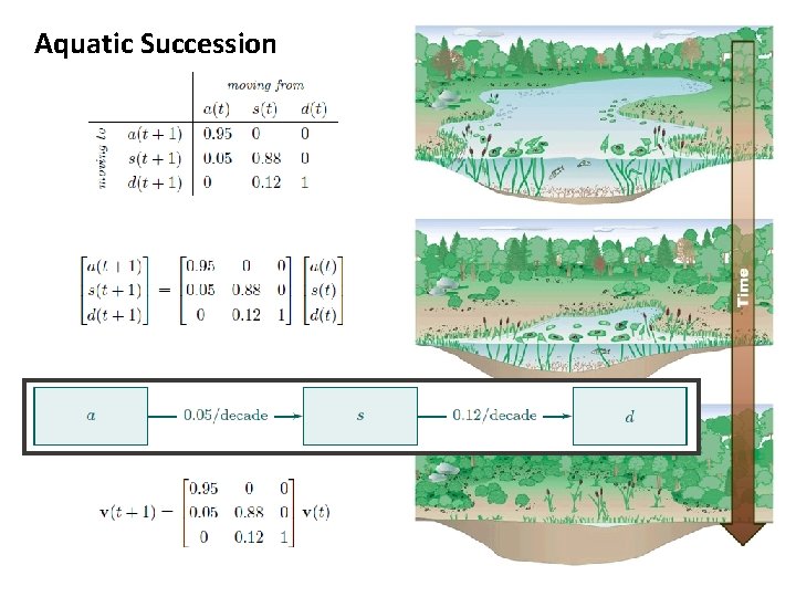 Aquatic Succession 