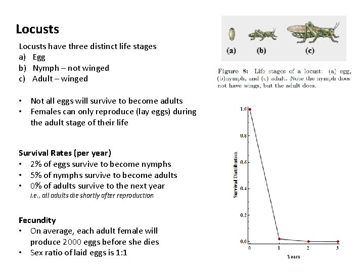 Locusts have three distinct life stages a) Egg b) Nymph – not winged c)