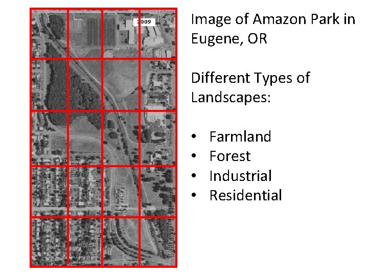 Image of Amazon Park in Eugene, OR Different Types of Landscapes: • • Farmland