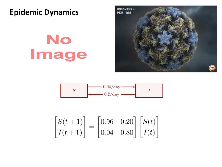 Epidemic Dynamics 