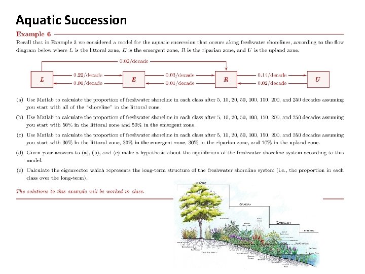 Aquatic Succession 