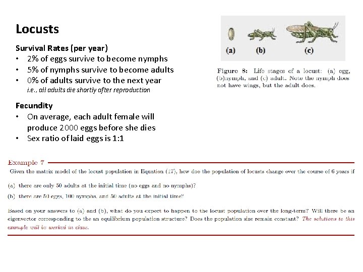 Locusts Survival Rates (per year) • 2% of eggs survive to become nymphs •