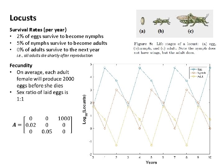 Locusts Survival Rates (per year) • 2% of eggs survive to become nymphs •