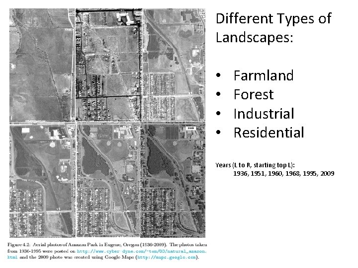 Different Types of Landscapes: • • Farmland Forest Industrial Residential Years (L to R,