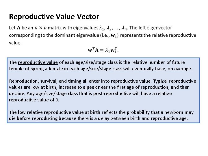 Reproductive Value Vector The reproductive value of each age/size/stage class is the relative number