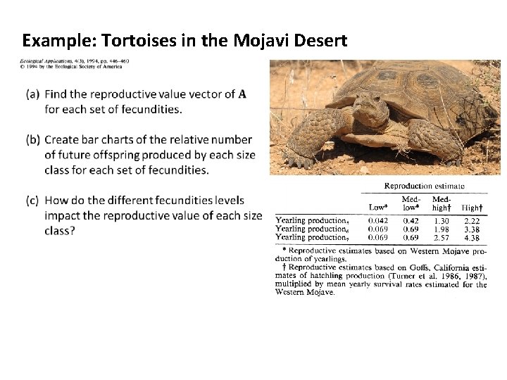 Example: Tortoises in the Mojavi Desert 