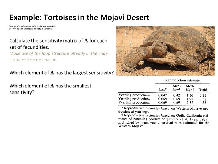 Example: Tortoises in the Mojavi Desert 