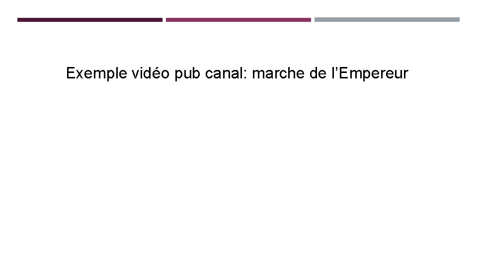 Exemple vidéo pub canal: marche de l’Empereur 