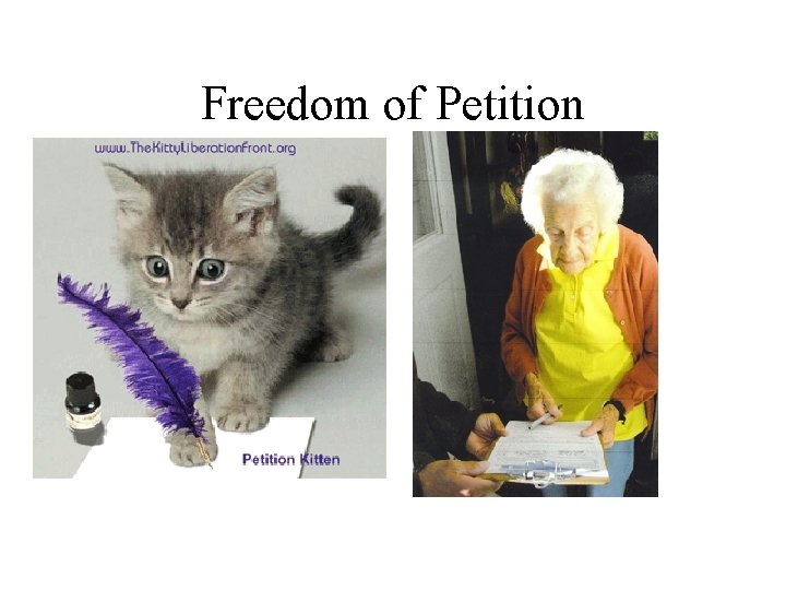 Freedom of Petition 
