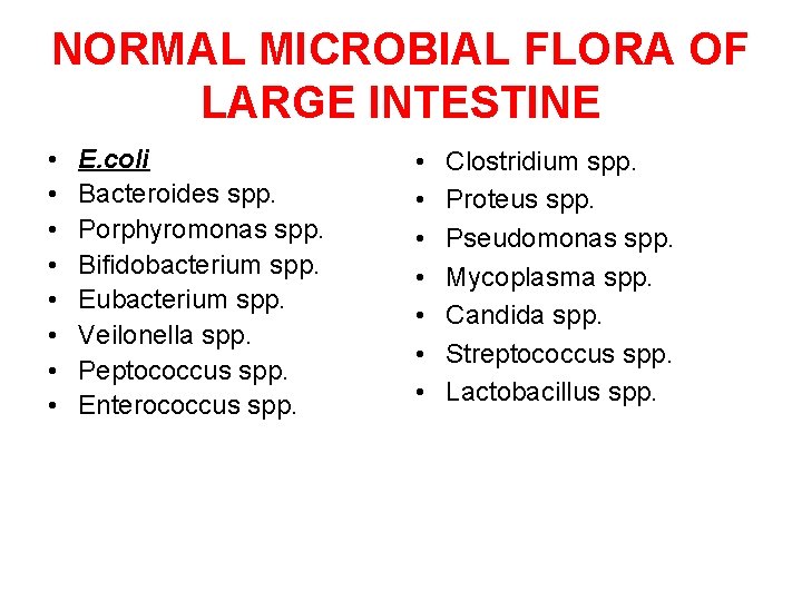 NORMAL MICROBIAL FLORA OF LARGE INTESTINE • • E. coli Bacteroides spp. Porphyromonas spp.