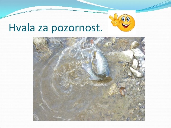 Hvala za pozornost. 