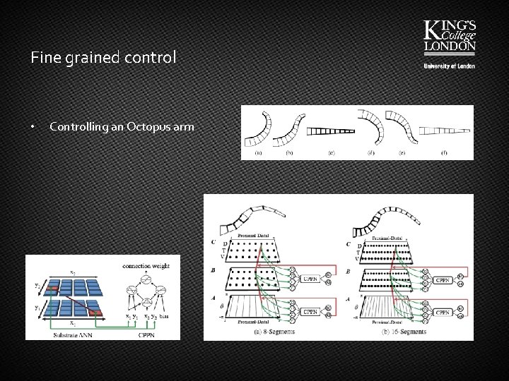 Fine grained control • Controlling an Octopus arm 