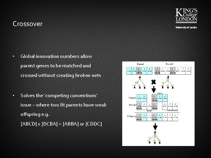 Crossover • Global innovation numbers allow parent genes to be matched and crossed without