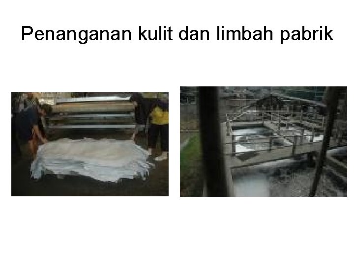 Penanganan kulit dan limbah pabrik 