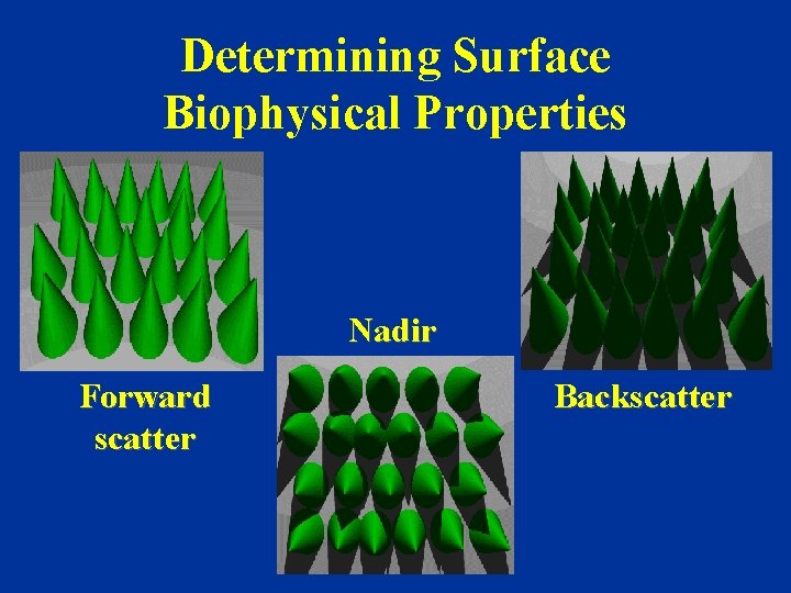 Determining Surface Biophysical Properties Nadir Forward scatter Backscatter 