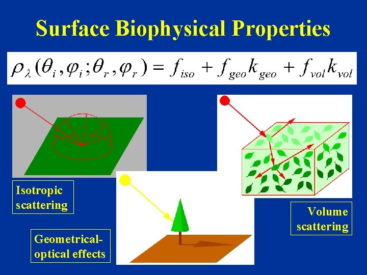 Surface Biophysical Properties Isotropic scattering Geometricaloptical effects Volume scattering 