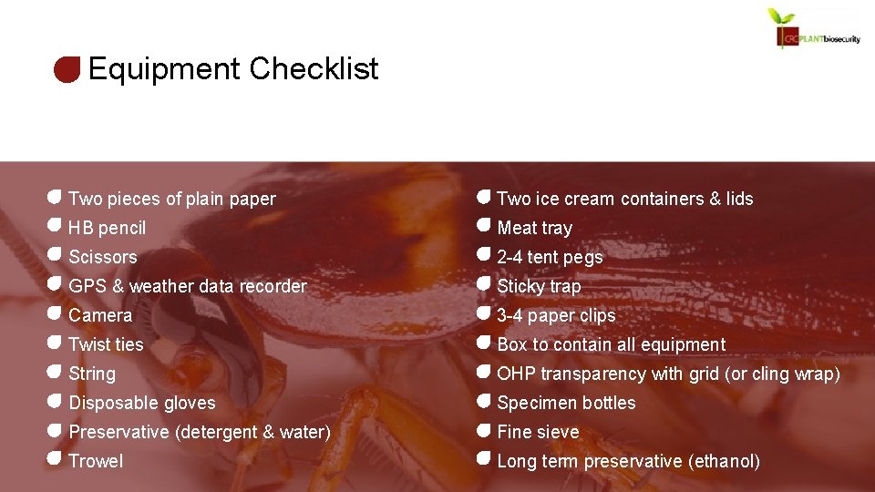 Equipment Checklist Two pieces of plain paper Two ice cream containers & lids HB