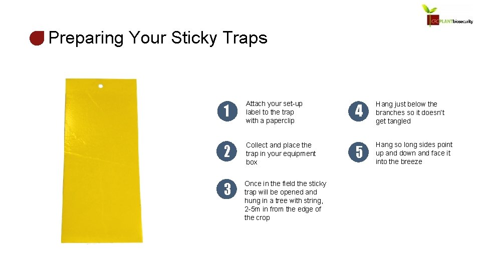 Preparing Your Sticky Traps 1 Attach your set-up label to the trap with a
