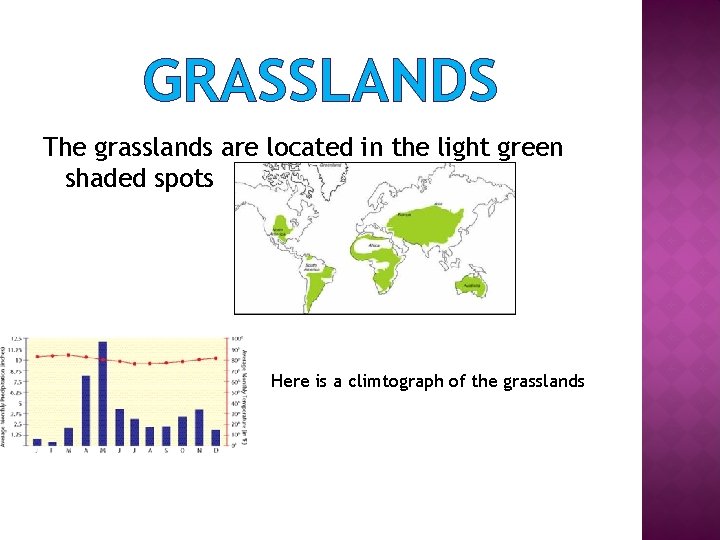 GRASSLANDS The grasslands are located in the light green shaded spots Here is a