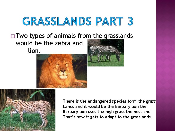 GRASSLANDS PART 3 � Two types of animals from the grasslands would be the