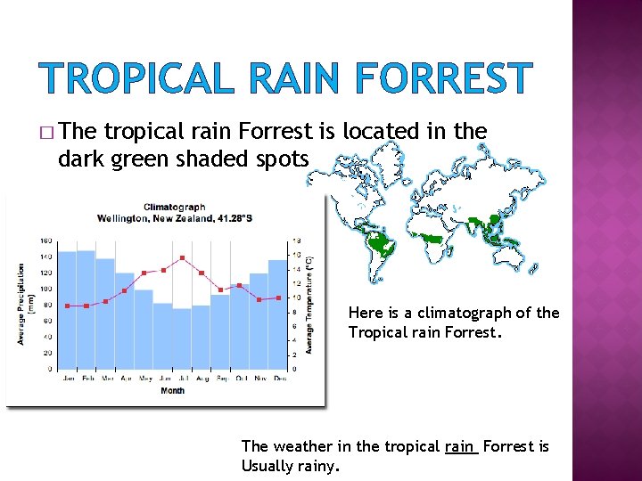 TROPICAL RAIN FORREST � The tropical rain Forrest is located in the dark green