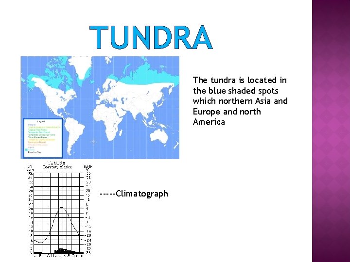 TUNDRA The tundra is located in the blue shaded spots which northern Asia and