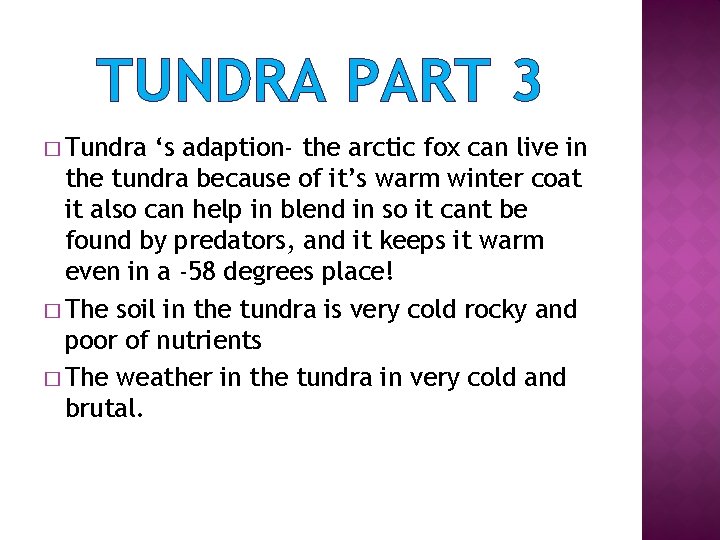 TUNDRA PART 3 � Tundra ‘s adaption- the arctic fox can live in the