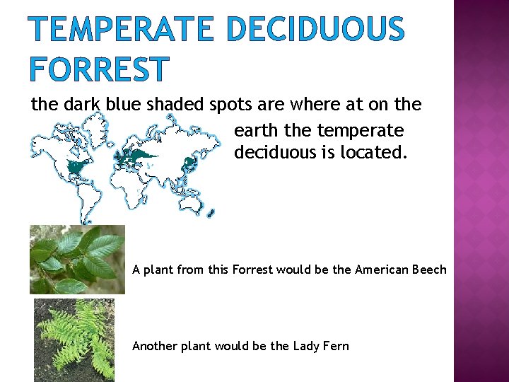 TEMPERATE DECIDUOUS FORREST the dark blue shaded spots are where at on the earth